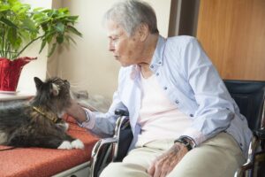 Pets-for-Seniors