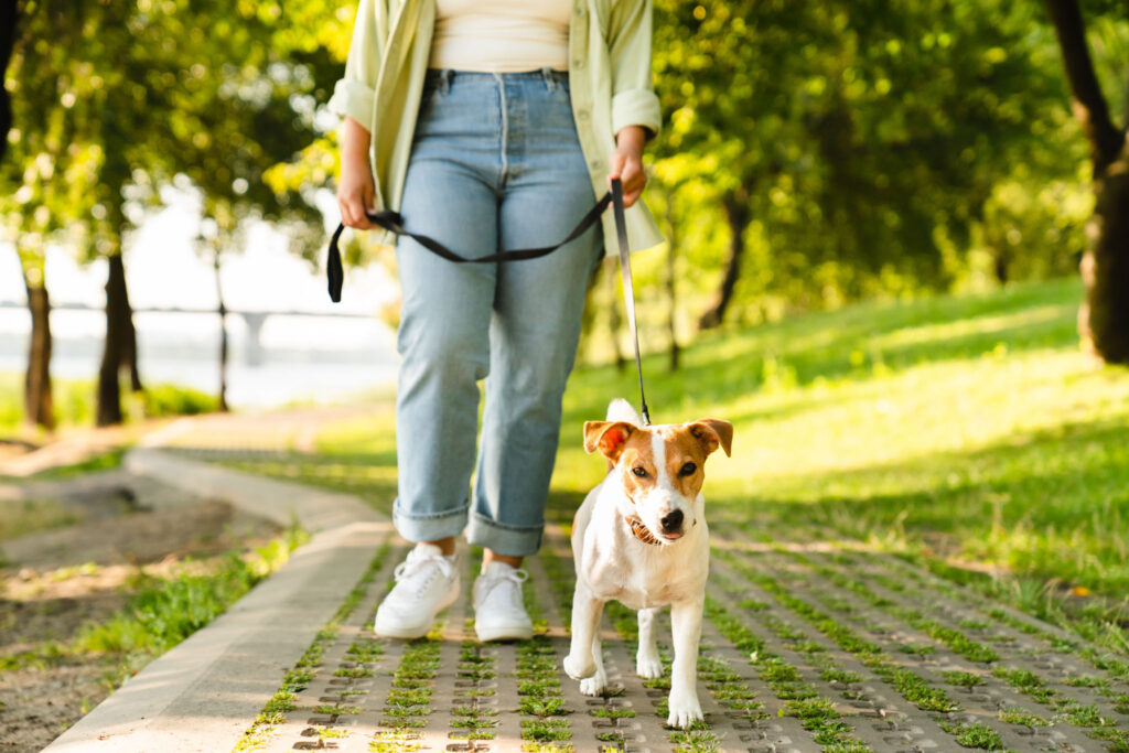 Cropped close up shot of a female pet owner walking her dog in city